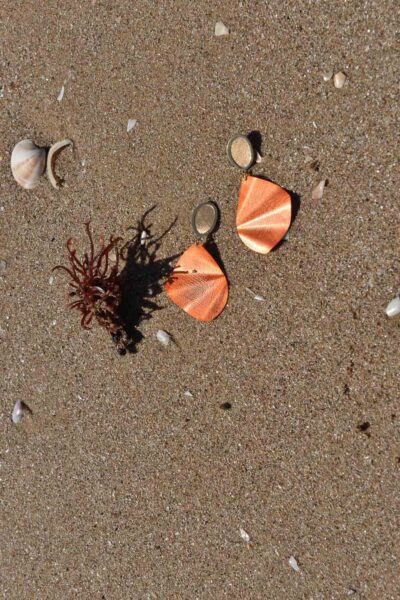 Silver can get wet in the sea slopes on sand and shells 